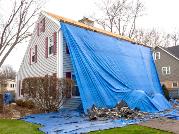 Best Hoarding Cleanup  in Canterwood, WA